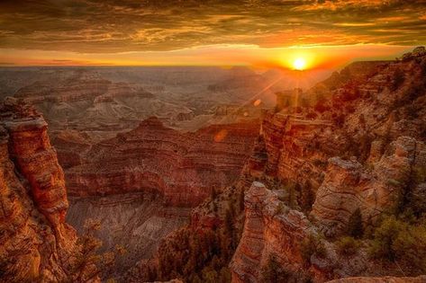 photos of canyons | Sunrise over the Grand Canyon - Picture of Grand Canyon National Park ... Grand Canyon Pictures, Virtual Families, Grand Canyon National Park, The Grand Canyon, Real Pictures, Images Photos, Natural Color, Bing Images, Grand Canyon