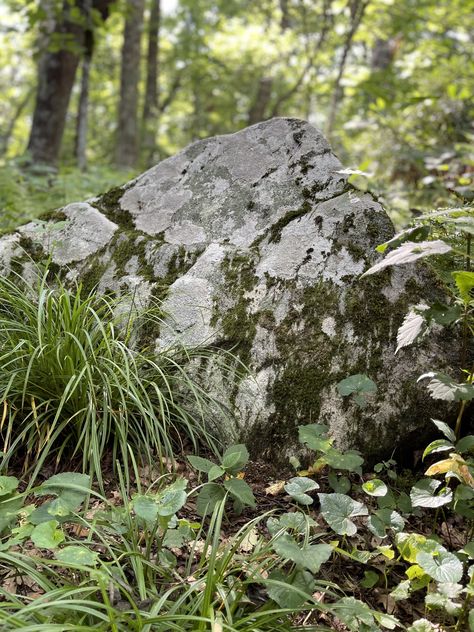 Rocks In Forest, Rock Reference Photo, Rock In Forest, Forest Rocks, Mossy Stone, Mossy Rocks, Mossy Forest, Rock Aesthetic, Witch Garden