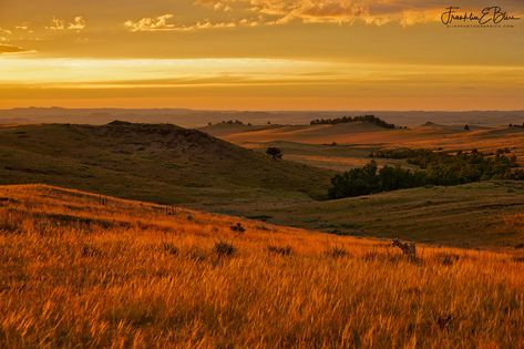 Golden Hour Landscape, Golden Hour Painting, Watercolor Animation, Golden Hour Lighting, Yellow Hills, Golden Landscape, Brown Landscape, Orange Field, Plains Landscape