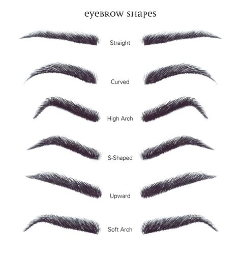 Eyebrow Shapes Chart, Eyebrows For Oval Face, Face Shape Chart, Brow Shaping Tutorial, Different Eyebrow Shapes, Eyebrow Template, Types Of Eyebrows, Bentuk Alis, Eyebrow Shapes