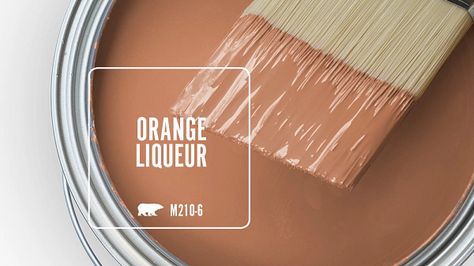 Orange Liqueur M210-6 | Behr Paint Colors Light Burnt Orange Paint, Soft Orange Paint Colors, Behr Orange Paint Colors, Burnt Orange Paint Colors, Cozy Wall Colors, Light Orange Paint Colors, Orange Wall Color, Orange Bathroom Paint, Trim Paint Color Ideas