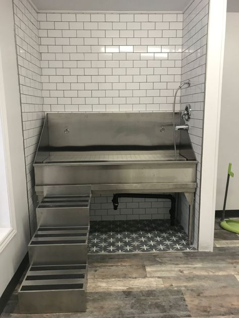 Bath Tub For Dogs, Dog Grooming Shower Ideas, Grooming Area For Dogs, Dog Grooming Bathing Area, Stainless Steel Dog Washing Station, In Home Dog Wash Station, Basement Grooming Salon, Dog Self Wash Business, Grooming Tubs For Dogs