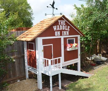 Do you want to build a duck house or coop for your new ducks? Here are 37 of the best free DIY duck house plans we've collected from all over the net. Duck House Ideas, Diy Duck House, Duck House Plans, Duck Pens, Chicken Coop Blueprints, Backyard Ducks, Duck Coop, Chicken Barn, Portable Chicken Coop