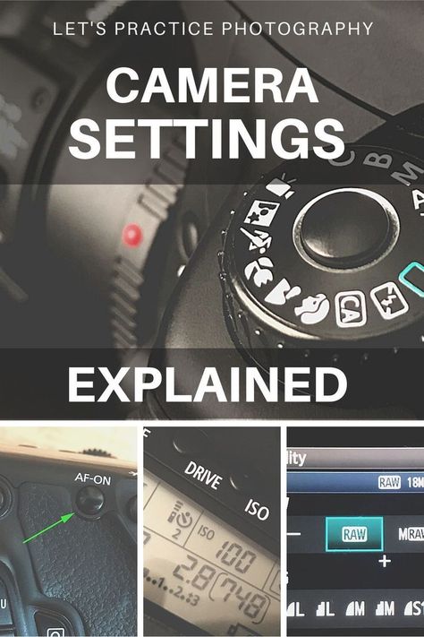 Nikon Manual Mode Camera Settings, Nature, Beginner Photography Camera, Camera Basics, Best Camera For Photography, Digital Photography Lessons, Camera Tricks, Photography Settings, Dslr Photography Tips