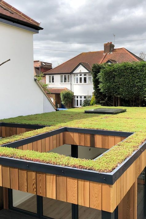 Eco Roof, Living Green Roof, Green Roof Design, Green Roof Garden, Green Roof House, Sedum Roof, Green Roof System, Grass Roof, Green Roofs