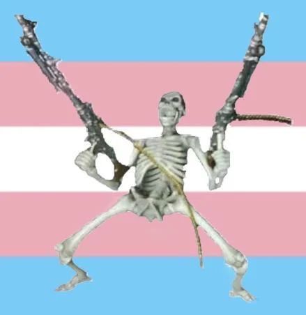 Silly Gender, Gender Pronouns, Reading Lists, Skeleton, Flag, Reading, Pink, Blue