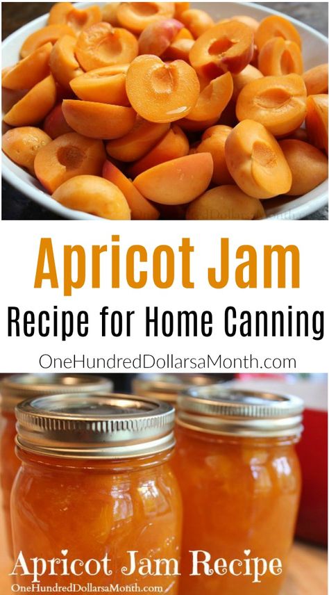 Easy Apricot Jam Recipe, Canning Apricots, Toast Chicken, Apricot Jam Recipe, Apricot Jam Recipes, Canning Jam Recipes, Gardening Tricks, Apricot Recipes, Modern Homestead