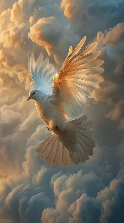 Dove Flying, Dove Images, Dove Pictures, Jesus Artwork, Bird Flying, Jesus Christ Artwork, Heaven Art, Jesus And Mary Pictures, Prophetic Art