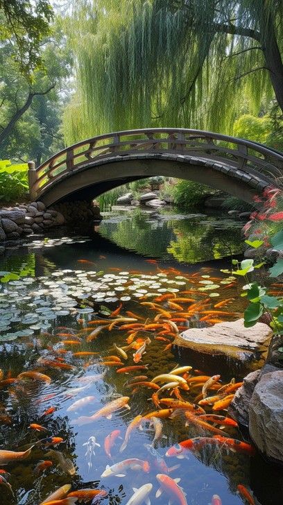 Large Pond Landscaping, That Aesthetic, Natural Pond Ideas, Japanese Plants, Aesthetic Lake, Tranquil Garden, Stone Plant, Zen Garden Design, Floating Garden