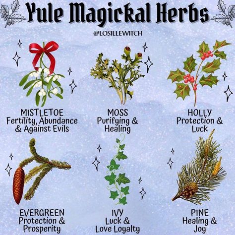 Witchcraft Community on Instagram: “🌿What are your Yule plans? 🌲 . Love these holiday specific magical herbs from @losillewitch ! . Follow @occult.ish for witchy tips,…” Winter Solstice Rituals, Yule Traditions, Yule Crafts, Pagan Christmas, Winter Solstice Celebration, Yule Celebration, Pagan Yule, Happy Winter Solstice, Magickal Herbs