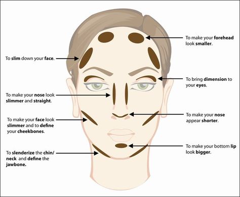 Contour placement for corrective stage makeup. Contour Placement, What Is Contouring, Thinner Face, How To Contour Your Face, Small Forehead, How To Contour, Soft Makeup Looks, Nose Contouring, Easy Makeup Tutorial