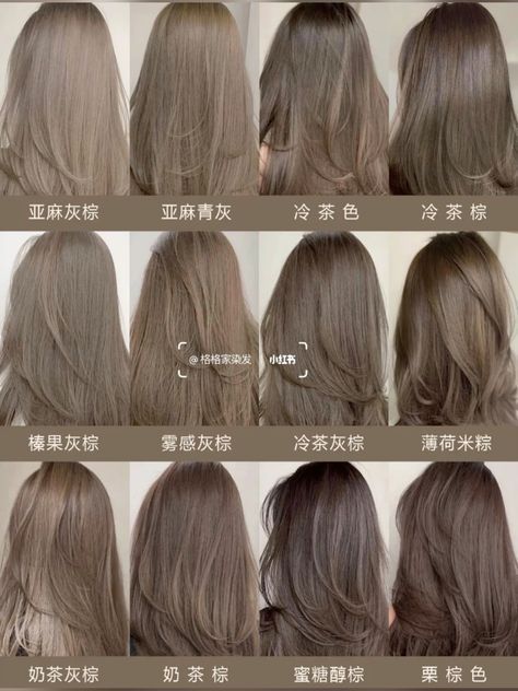 #2000schunkyhighlights #sunkissedhairbrunette #edgesideas #裾カラーボブ #promhairstyles 6 Ash Hair Color, Brown Ash Grey Hair, Shades Of Ash Brown Hair Color, Different Kinds Of Brown Hair, Hair Color Grey Brown, Ash Taupe Gray Hair Color, Chocolate Greige Hair Color, Milk Ash Brown Hair, Cool Shades Of Brown Hair