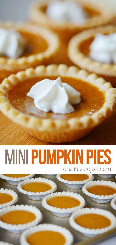 These mini pumpkin pies are way easier than making a pumpkin pie from scratch. Plus you will actually have room to try more than one dessert! Mini Pumpkin Pie Bites, Punkin Pie Recipe, Mini Pumpkin Desserts, Mermaid Mansion, Individual Pumpkin Pie, Quick Christmas Dessert, Mini Pumpkin Pies Recipe, Yummy Chocolate Desserts, Pumpkin Pie From Scratch