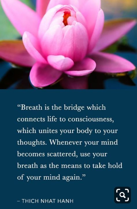 Breath is the bridge which connects life to consciousness, which unites your body to your thoughts. Whenever your mind becomes scattered, use your breath as the means to take hold of your mind again. -  Thich Nhat Hanh, The Miracle of Mindfulness: An Introduction to the Practice of Meditation  #breathing #thich #nhat #hanh #meditation #consciousness #breath #mind Conscious Breathing, Breath Of Life, Bridge Quotes, Breathe Quotes, Meditation Quotes Mindfulness, Thich Nhat Hanh Quotes, Breathing Meditation, Byron Katie, Beautiful Flowers Photography