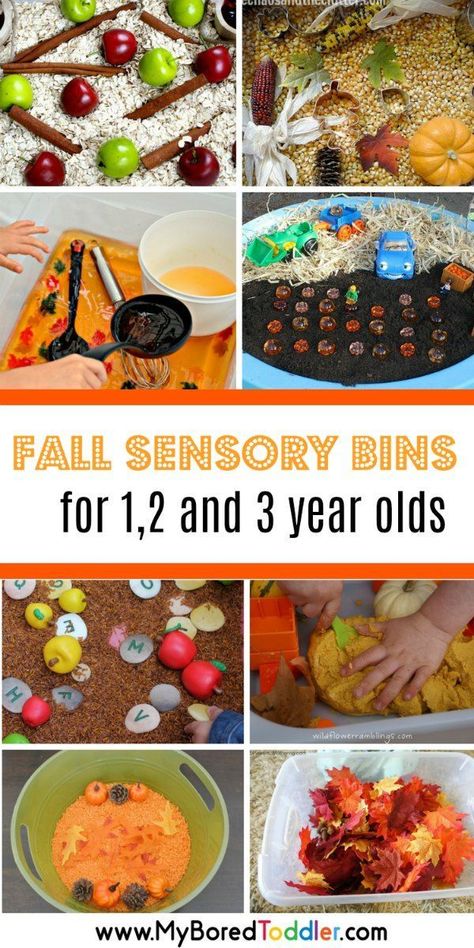 fall sensory bins for 1 2 and 3 year olds pinterest Sensory Bins For Toddlers, Fall Sensory Bin, Fall Activities For Toddlers, Sensory Activities For Preschoolers, Fall Sensory, Toddler Sensory, Fun Fall Activities, Autumn Activities For Kids, Sensory Bottles