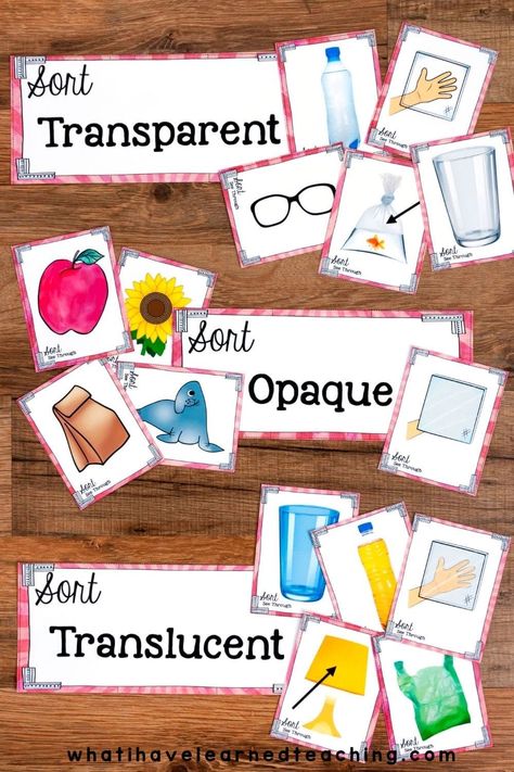 Teach students about properties of light with this science station. Includes transparent, translucent and opaque objects. This sorting center includes a reading passage to build background knowledge about nerve cells as well as differentiated questions to assess your students' comprehension. Fourth Grade Science, Transparent Translucent Opaque Activity, Science Differentiation, Physical Science Projects, Translucent Objects, Chemistry Experiments For Kids, Physical Science Lessons, Science Anchor Charts, Science Stations