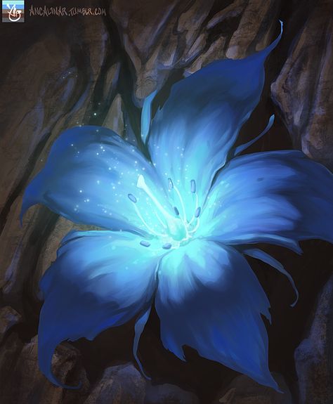 Stone Flower by ancalinar.deviantart.com on @DeviantArt Wattpad, Stone, Water, Blue