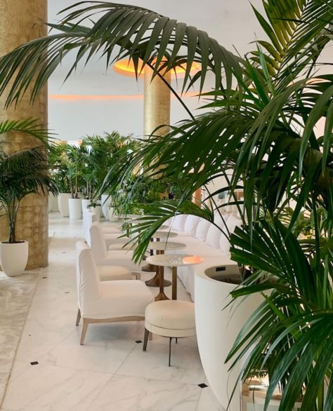 Did you ever dream of being able to experience the amazing smell of the 1 Hotel in Miami in your home? Well, now you can!🌴 #miami #1hotelsouthbeach Miami Hotel Aesthetic, The 1 Hotel, Miami Hotel, Hotel Aesthetic, Miami Condo, Miami Hotels, 1 Hotel, Branding Inspo, Corner Decor