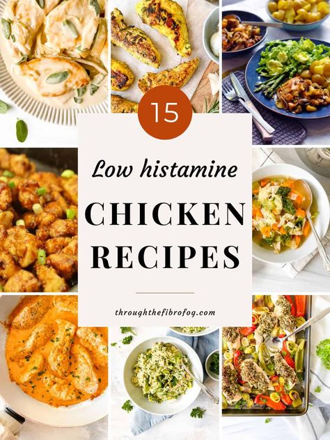 15 delicious low histamine chicken recipes - Through The Fibro Fog Low Histamine Casserole, Antihistamine Diet, Bladder Friendly Recipes, Chicken Air Fryer Recipes, Chicken Air Fryer, Low Residue Diet, Low Histamine Foods, Histamine Diet, Food Sensitivity