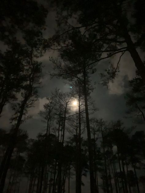 The Night Sky, Night Sky, At Night, The Moon, Trees, Moon