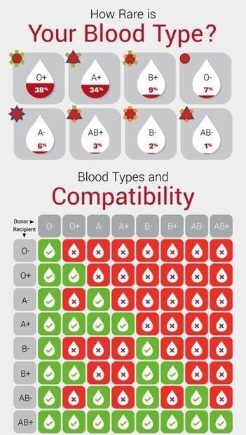 B negative(B -ve), which is found in 1.5 percent of the total population. AB negative(AB -ve), which is found in 0.6 percent of the total population. AB positive(AB +ve), which is found in 3.4 percent of the total population. Medic School, Blood Compatibility, Rarest Blood Type, Phlebotomy Study, Blood Donation Posters, O Blood Type, Donating Blood, Blood Types, Type Chart