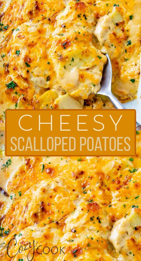 Cheesy Scalloped Potatoes with a spoon in them. Cheesy Scalloped Potatoes Recipe, Easy Scalloped Potatoes Recipe, Cheesy Scalloped Potatoes, Scalloped Potatoes Easy, Plats Healthy, Scalloped Potatoes Cheesy, Easy Potato Recipes, Scalloped Potato Recipes, Potato Recipes Side Dishes