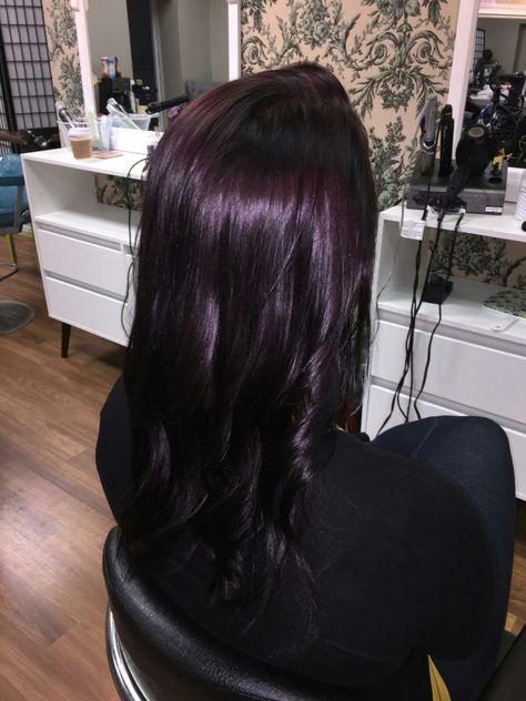 Violet | AVEDA | hair by bekki Purple Tinted Hair, Pelo Color Vino, Dark Purple Hair, Plum Hair, Aveda Hair, Wine Hair, Hair Tint, Violet Hair, Burgundy Hair