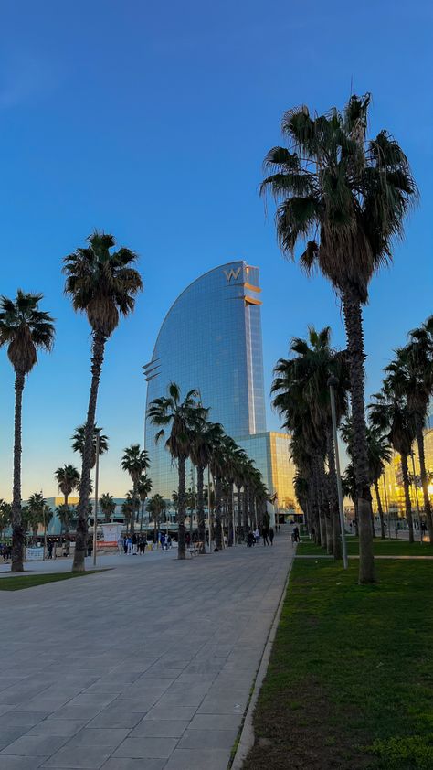 W hotel
Barcelona 
Barcelona hotel 
W
5 star hotel
Dubai hotel
Palm trees 
Beach hotel Spain Barcelona Aesthetic, Barcelona City Wallpaper, Barcelona City Aesthetic, Barcelona Villa, Barcelona Nature, Barcelona Spain Aesthetic, Barcelona Vibes, W Hotel Barcelona, Barcelona Life