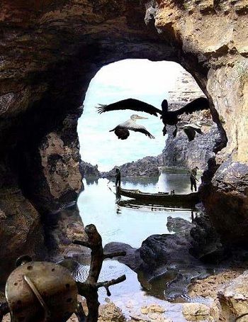 Collage a face from photographs Another one of those perfect timing shots - Imgur Excited Pictures, Optical Illusions Art, Perfectly Timed Photos, Foto Tips, 웃긴 사진, Illusion Art, Perfect Timing, Time Photo, Salvador Dali