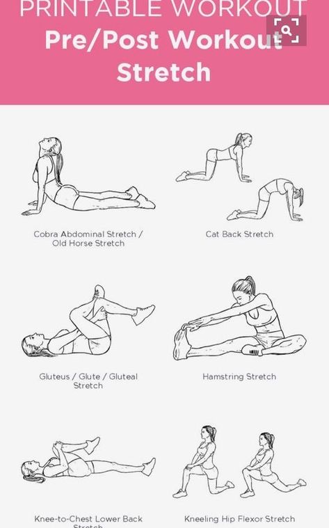 Beginner Female Gym Workout, Female Gym Workout, Gym Routine For Beginners Workout Plans, Weekly Gym Workouts, Beginners Gym Workout Plan, Workout Stretches, Female Gym, Post Workout Stretches, Workout Gym Routine