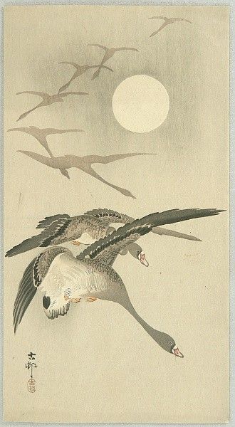 Goose Poster, Japanese Ink Painting, Wild Goose, Ohara Koson, Utagawa Hiroshige, University College London, Japanese Art Prints, Poster Size Prints, Flying Geese