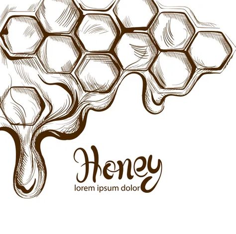 Honeycombs Drawings, Honey Label Design, Honey Combs, Honeycomb Tattoo, Fleurs Art Nouveau, Honey Art, Honey Logo, Vector Line Art, Bee Drawing