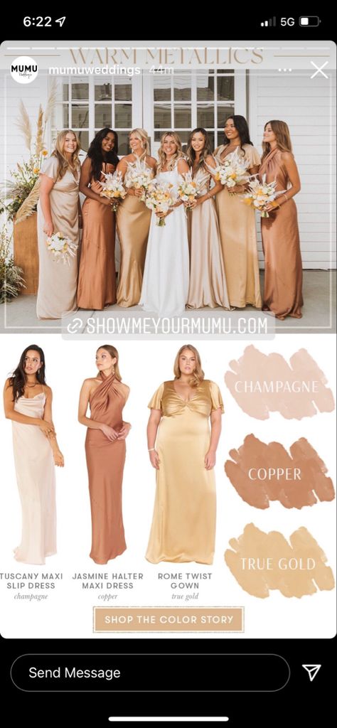 Tan Wedding Color Schemes, Mixed Beige Bridesmaid Dresses, Bronzer Bridesmaid Dresses, Champagne And Terracotta Wedding Colors, Gold And Rose Bridesmaid Dresses, Deep Champagne Bridesmaid Dresses, Tan Fall Wedding, Neutral Color Palette Bridesmaid Dresses, Light Copper Bridesmaid Dress