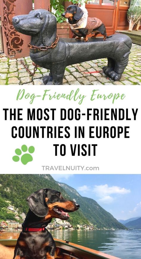 Looking for the most dog-friendly countries in Europe? These nine countries are all very dog-friendly, and great for travelling to with your dog. Use this list to plan your next trip with your pup! Dog Traveling, Nordic Travel, Road Trip With Dog, Dog Friendly Vacation, Animal Encounters, European Road Trip, Countries In Europe, Road Trip Europe, 7 Continents