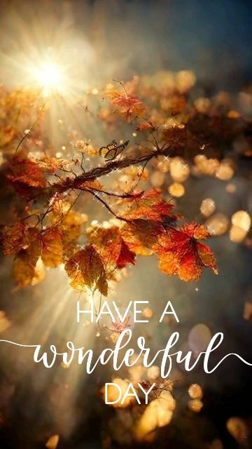 Have a wonderful day Have A Wonderful Day Images, Good Morning Fall Quotes, Have An Amazing Day Quotes, Have A Wonderful Day Quotes, Have A Beautiful Day Quotes, Enjoy Your Day Quotes, Have A Nice Day Quotes, Deceived Quotes, Have A Great Day Quotes