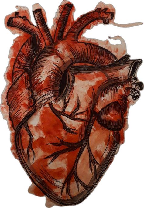 Gcse Art Sketchbook, Arte Grunge, Blood Art, Meaningful Drawings, Heart Drawing, Human Heart, Art Diary, Doodle Art Designs, Pencil Art Drawings