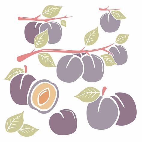 Plum Illustration Design, Plum Illustration, Plum Paint, Happy Fruit, Dried Plums, Watercolor Fruit, Floral Pattern Design, Tree Illustration, Fruit Pattern