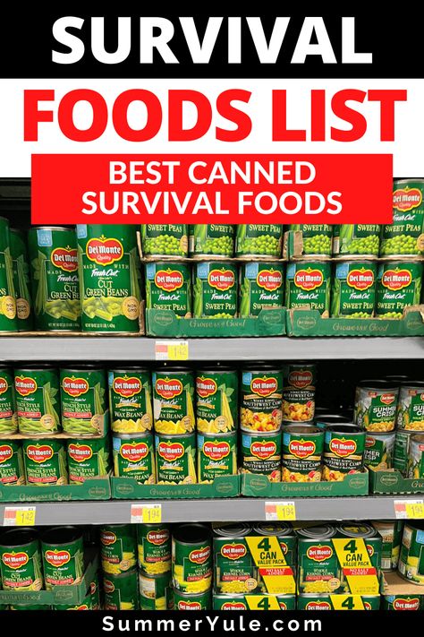 Canned Food Dinner Recipes, Canned Good Meals, Canned Foods For Emergency, Emergency Food Recipes, Emergency Food List, Meals From Canned Food, Prepping Food Survival, Preppers Pantry Stockpile, Food For Emergencies