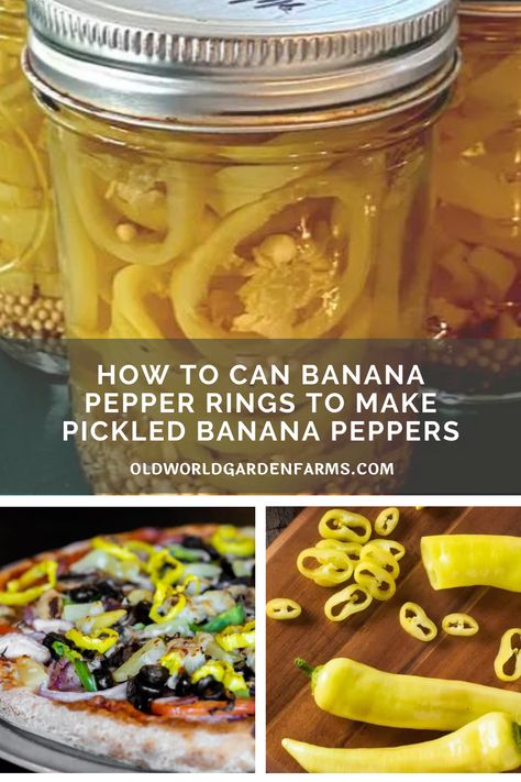 Pickling Sweet Peppers Recipe, Canning Yellow Banana Peppers, Pickled Yellow Banana Peppers, Pickled Sweet Banana Peppers Recipe Canning, Canning Recipe For Banana Peppers, Picking Banana Peppers, What To Do With Banana Peppers From Garden, Ways To Preserve Peppers, Canned Sweet Banana Peppers