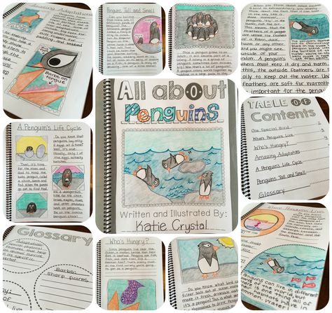 My ANIMAL RESEARCH PROJECT! Students create their own nonfiction books in this informational writing unit. Fourth Grade Science, Writing Project Ideas, Animal Research Project, Animal Report, Animal Research, Third Grade Writing, 3rd Grade Writing, Writing Projects, 2nd Grade Writing