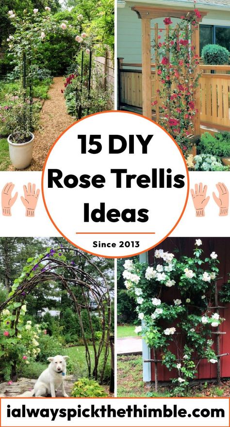 15 DIY Rose Trellis Ideas: Build a Climbing Rose Support Roses Support Ideas, Rose Arbour, Plants For Trellis Climbing Flowers, Rose Bush Support Ideas, Rose On Trellis, Rose Lattice Ideas, Diy Rose Support, Trellis Ideas Diy Climbing Vines Front Of House, Trumpet Vine Trellis