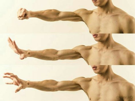 Muscle Hand Reference, Male Antonamy Reference, Male Gesture Poses, Arms Above Head Pose Reference, Arms Behind Head Pose Drawing, Arms Muscles, Arm Anatomy, 남성 근육, Hand Muscles