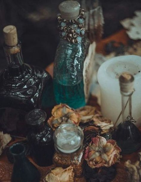 Interior Boho, Drying Roses, Yennefer Of Vengerberg, Under Your Spell, Sea Witch, The Crow, Witch Aesthetic, Fantasy Aesthetic, Witchy Vibes