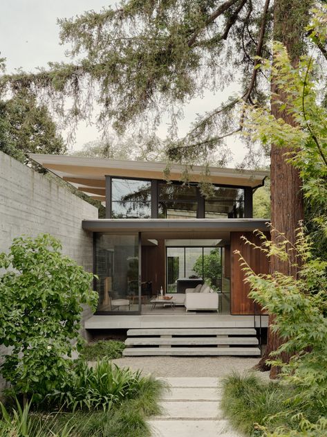 This Urban Refuge In Palo Alto Is Surrounded By Lush Vegitation Big Picture Frames, Sanctuary House, Clerestory Windows, Urban Setting, Through The Window, House And Home Magazine, Residential Design, Architecture Project, Modern Home