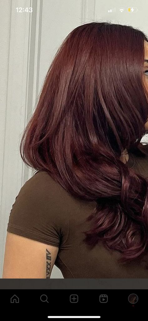 Deep Auburn Red Hair Color, Red Hair Pallete, Red Glaze On Dark Brown Hair, Long Haircut For Big Nose, Dark Red Ish Brown Hair, Brown Hair With Slight Red Tint, Muted Red Brown Hair, Reddy Brown Hair Colour, Deep Red Auburn Hair