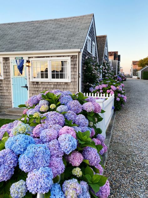 Nantucket Aesthetic, Nantucket Summer, England Aesthetic, Nantucket Style, White Picket Fence, Garden Photography, Picket Fence, Front Yard Landscaping Design, Gorgeous Gardens