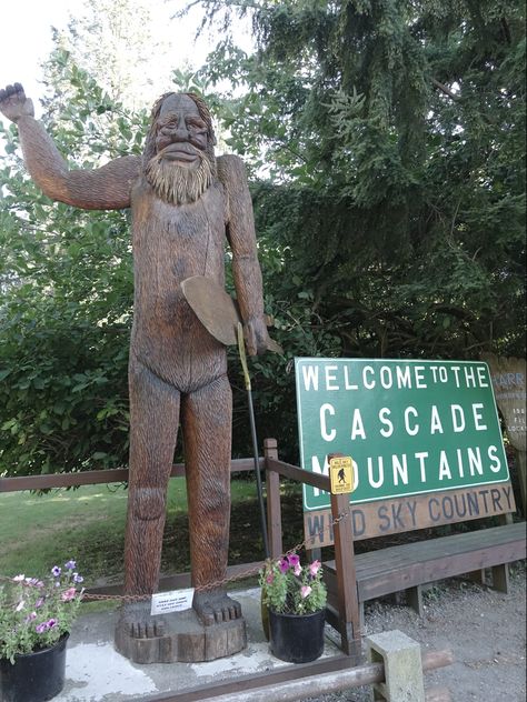 Friendly bigfoot statue on hwy 2 near Index, Washington Bigfoot Statue, Great American Road Trip, Oregon Washington, Us Travel Destinations, American Road Trip, Roadside Attractions, Anniversary Trips, Road Trip Fun, Scenic Drive