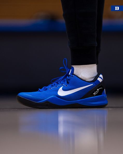 (2) Duke Women’s Basketball on X: "Kobe 8 Duke PEs 💙🐍 https://t.co/DXpCci5MkB" / X Kobe Shoes Basketball, Basketball Shoes Kobe, Bball Shoes, Hoop Shoes, Lifestyle Posing, Kobe 5, 5k Wallpaper, Kobe 8, Kobe 9