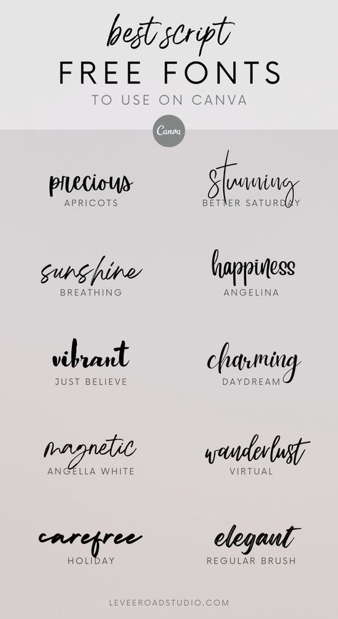 These are 10 of my favorite handwritten free fonts to use for all your designs on Canva. Learn more about the best fonts and calligraphy ideas and typography inspiration, wedding fonts and more. Canva Best Font, Canvas Free Fonts, Best Calligraphy Fonts Canva, Canva Calligraphy Font, Free Backgrounds Downloads, Typography Fonts Canva, Free Fonts For Canva, Wedding Font Canva, Canva Font Duo