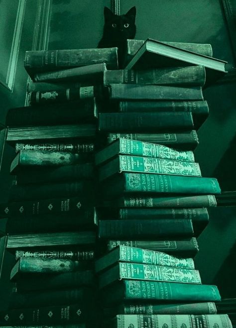 Green Library, Slytherin Wallpaper, Lily Wallpaper, Dark Green Wallpaper, Library Inspiration, Dark Green Aesthetic, Slytherin Aesthetic, Beautiful Dark Art, Photo Wall Collage